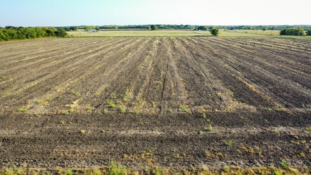 Farm and Ranch Land For Sale Roxton TX - image 9