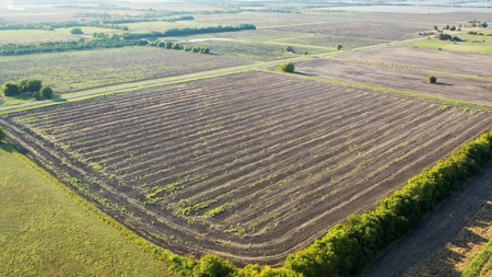 Farm and Ranch Land For Sale Roxton TX - image 5
