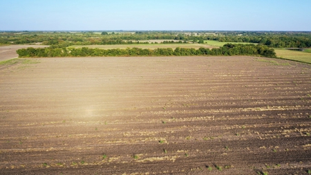 Farm and Ranch Land For Sale Roxton TX - image 2