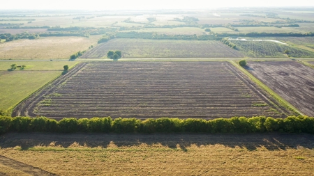 Farm and Ranch Land For Sale Roxton TX - image 4