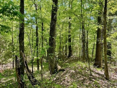 109 Acres For Sale Starkville MS - image 43