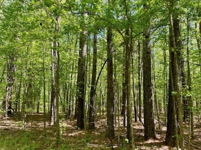 109 Acres For Sale Starkville MS - image 37