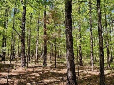 109 Acres For Sale Starkville MS - image 6
