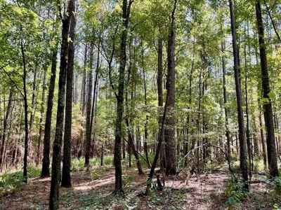 109 Acres For Sale Starkville MS - image 17