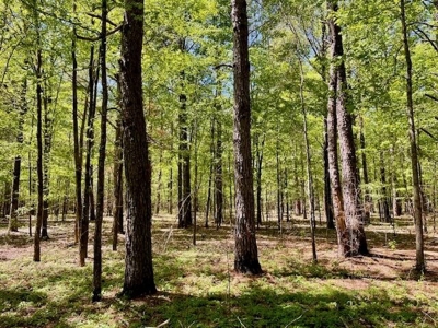 109 Acres For Sale Starkville MS - image 35