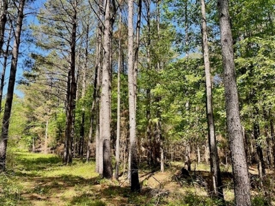 109 Acres For Sale Starkville MS - image 29