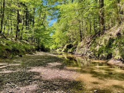 109 Acres For Sale Starkville MS - image 27