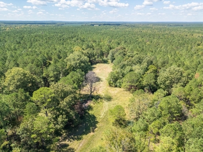 109 Acres For Sale Starkville MS - image 11