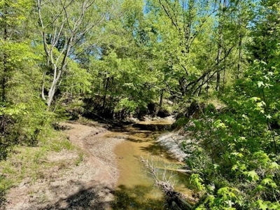 109 Acres For Sale Starkville MS - image 44