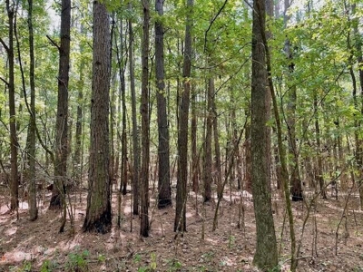 109 Acres For Sale Starkville MS - image 16