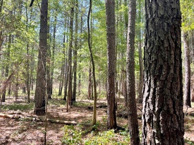 109 Acres For Sale Starkville MS - image 31