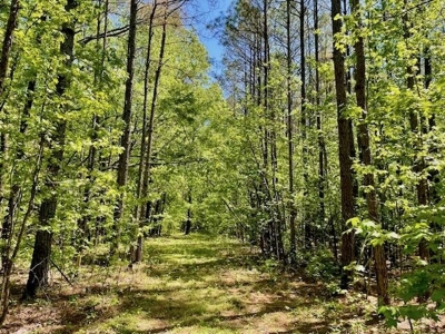 109 Acres For Sale Starkville MS - image 46