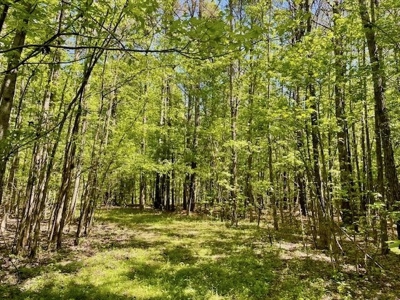 109 Acres For Sale Starkville MS - image 36