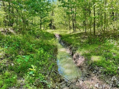 109 Acres For Sale Starkville MS - image 48