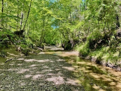 109 Acres For Sale Starkville MS - image 39