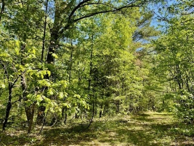 109 Acres For Sale Starkville MS - image 38