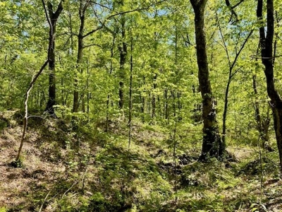 109 Acres For Sale Starkville MS - image 41