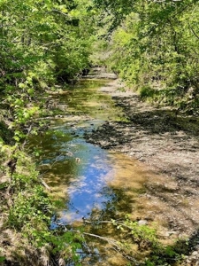 109 Acres For Sale Starkville MS - image 45
