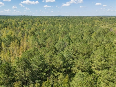 109 Acres For Sale Starkville MS - image 47