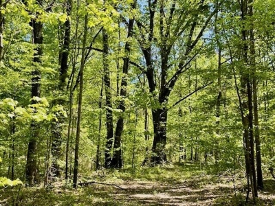 109 Acres For Sale Starkville MS - image 26