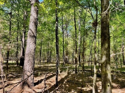 109 Acres For Sale Starkville MS - image 32