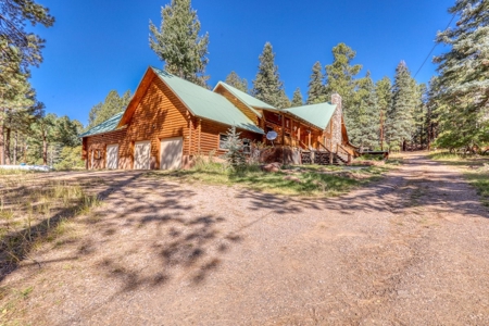 Gorgeous Custom Log Cabin Home For Sale - image 4
