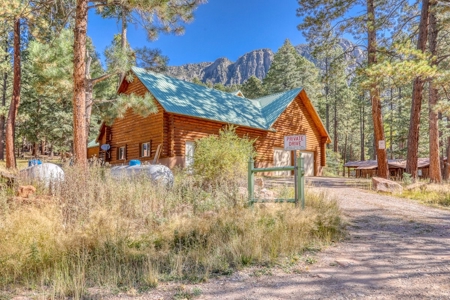 Gorgeous Custom Log Cabin Home For Sale - image 6