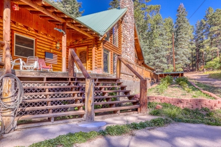 Gorgeous Custom Log Cabin Home For Sale - image 7