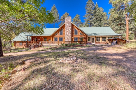 Gorgeous Custom Log Cabin Home For Sale - image 3