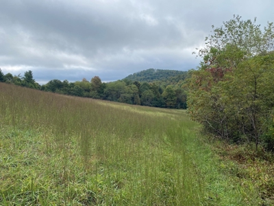 Investment Home and Acreage for Sale in Indian Valley VA - image 45