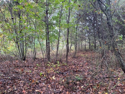 Investment Home and Acreage for Sale in Indian Valley VA - image 48