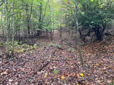 Investment Home and Acreage for Sale in Indian Valley VA - image 46