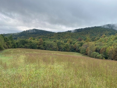 Investment Home and Acreage for Sale in Indian Valley VA - image 2