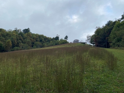 Investment Home and Acreage for Sale in Indian Valley VA - image 38