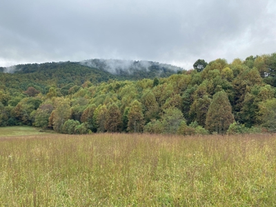 Investment Home and Acreage for Sale in Indian Valley VA - image 37