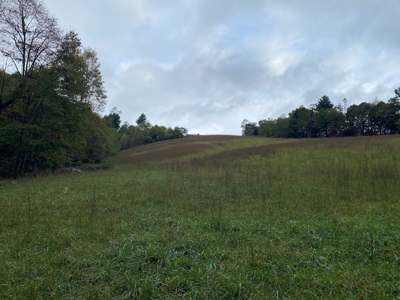 Investment Home and Acreage for Sale in Indian Valley VA - image 39