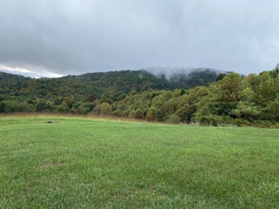 Investment Home and Acreage for Sale in Indian Valley VA - image 36