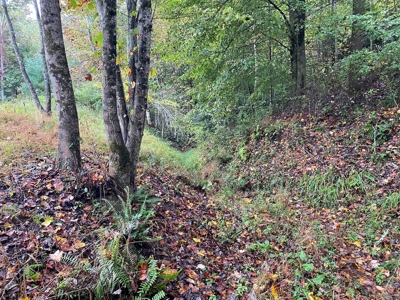 Investment Home and Acreage for Sale in Indian Valley VA - image 40
