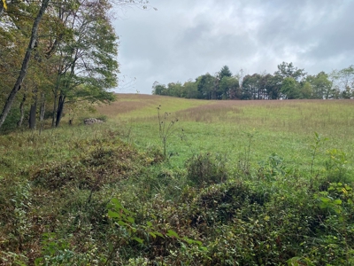 Investment Home and Acreage for Sale in Indian Valley VA - image 47