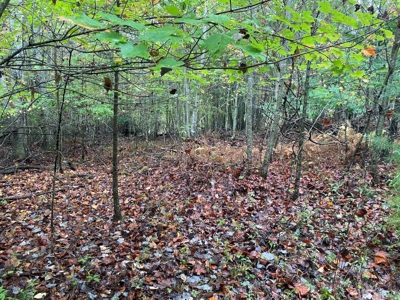 Investment Home and Acreage for Sale in Indian Valley VA - image 49