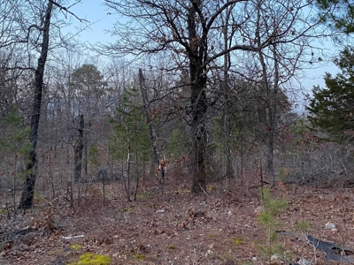 Secluded Property near Bull Shoals Lake for Hobby Farm - image 25