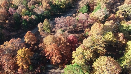 Secluded Property near Bull Shoals Lake for Hobby Farm - image 37