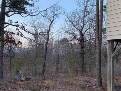 Secluded Property near Bull Shoals Lake for Hobby Farm - image 28