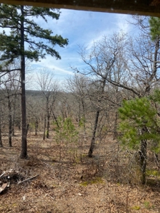 Secluded Property near Bull Shoals Lake for Hobby Farm - image 17
