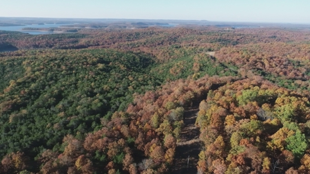 Secluded Property near Bull Shoals Lake for Hobby Farm - image 33