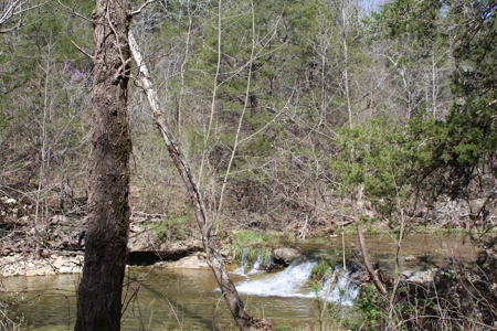 Secluded Property near Bull Shoals Lake for Hobby Farm - image 22