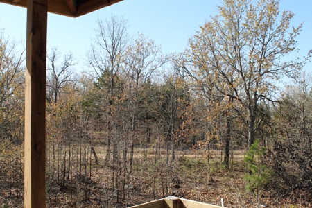 Secluded Property near Bull Shoals Lake for Hobby Farm - image 20