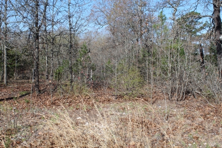 Secluded Property near Bull Shoals Lake for Hobby Farm - image 18