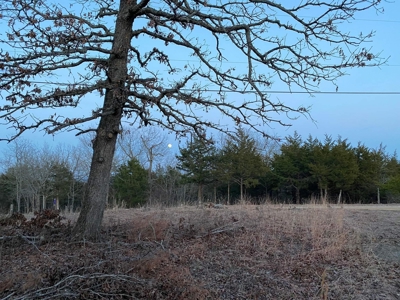 Secluded Property near Bull Shoals Lake for Hobby Farm - image 27