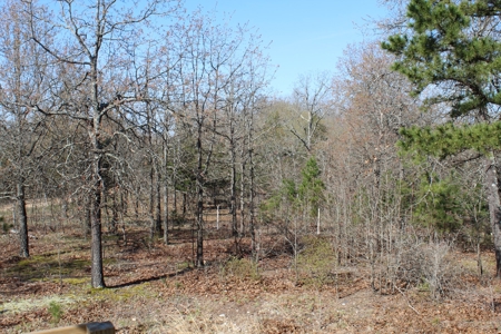 Secluded Property near Bull Shoals Lake for Hobby Farm - image 21
